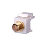 Show product details for 820428 Vanco Keystone Inserts F81 Gold White