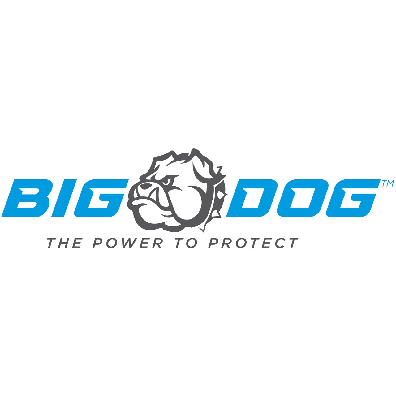 Big Dog Power