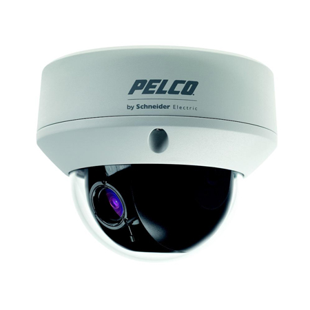 Pelco Analog Cameras