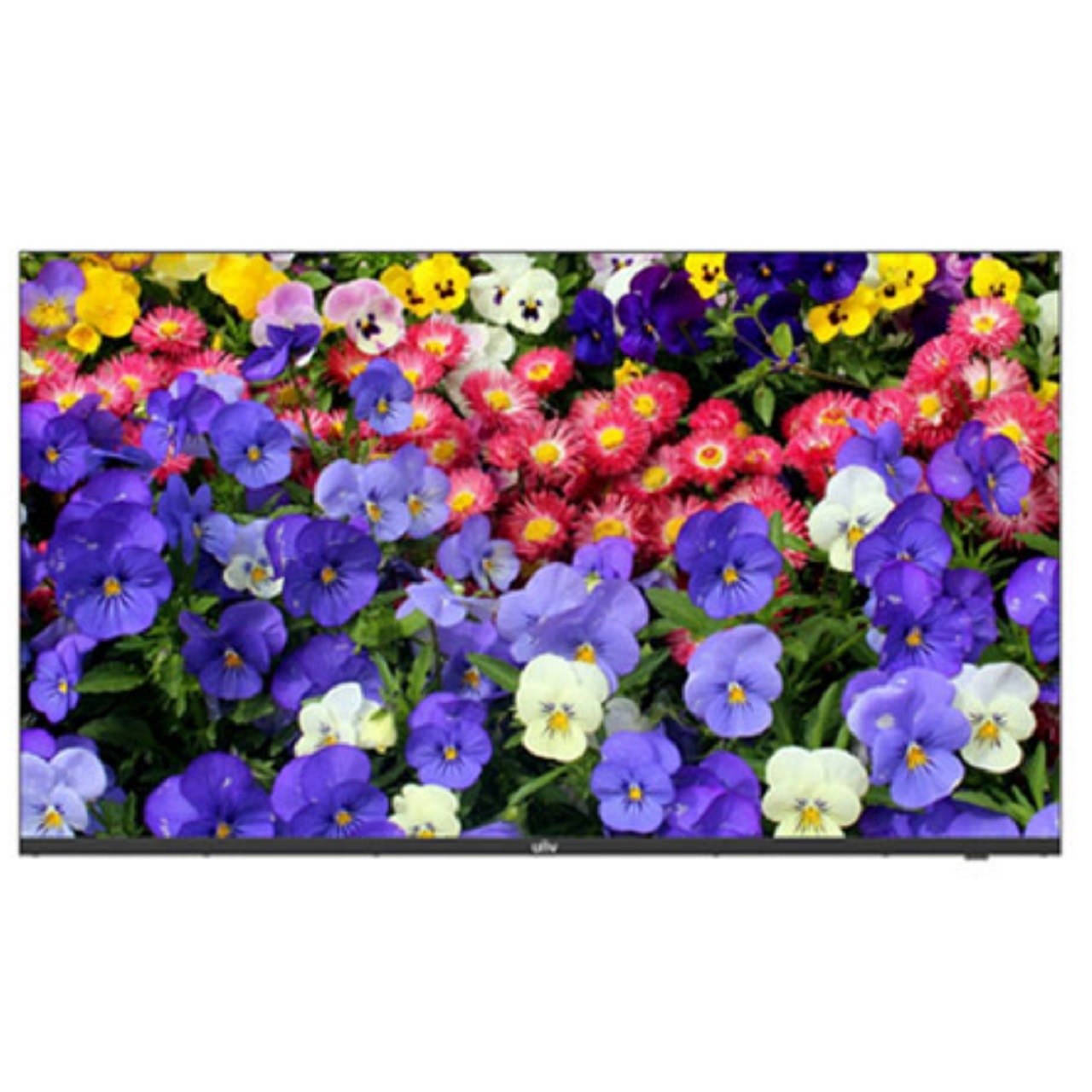 MW3243-F-V2 Uniview 43" 4K LED Monitor