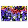 Show product details for MW3255-F-V2 Uniview 55" 4K LED Monitor