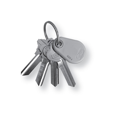 NXT-K Keri Systems Proximity Key Tag 