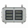 Show product details for SPX-BL24-W-12050-EM25-EXIT Raytec Zone 1 24 LED Bulkhead White-Light 120 x 50 Degrees Elliptical Beam 110-254VAC