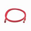 Show product details for CAT6A-5RD Triplett CAT 6A 10GBPS Professional Grade SSTP 26AWG Patch Cable 5' - Red