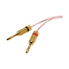 Show product details for WP3483-01-20 Legrand On-Q Gold Banana Plugs Red and Black - 20 Pack