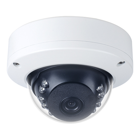 ZN8-D4NTFN4L-E Ganz 3.6mm 30FPS @ 1920x1080 IR Day/Night Dome IP Security Camera 12VDC/POE