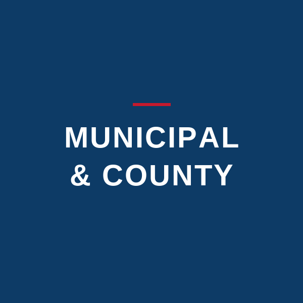 Municipal & County Government